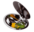 488035-72dpi.500x500x0