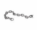 Ankerketting rvs