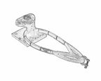 DOUGLAS MARINE mooring belt