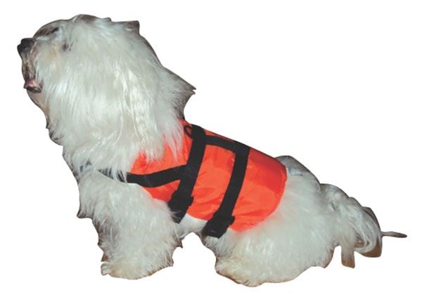 Drijfhulp reddingsvest voor honden en of katten2