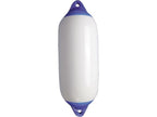 fender-wit-met-blauwe-kop