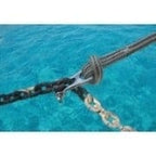 KONG® Kettinggripers 2