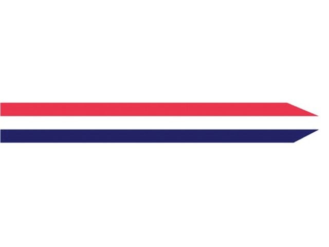 nederlandse wimpel.JPG