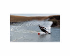 Polyform waterskiboei
