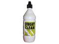 Radboud_Dinghy_clean.JPG