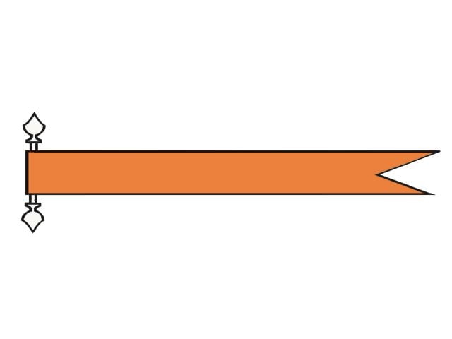 wimpel oranje.JPG