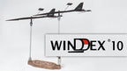 Windex_10